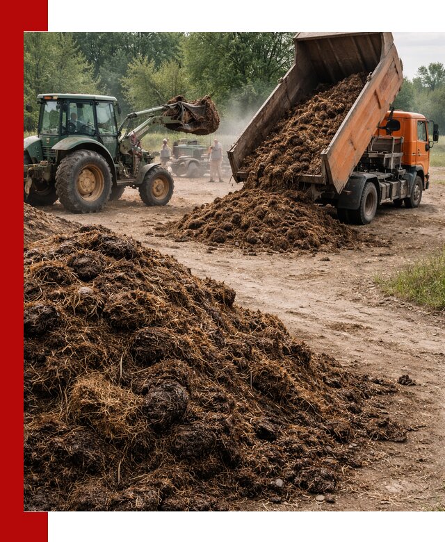 Доставка навоза самосвалами в Междуреченске для сельхозпотребностей